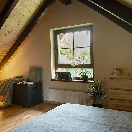 Casuta Cu Bine Villa Valea Lunga-Ogrea Exteriör bild