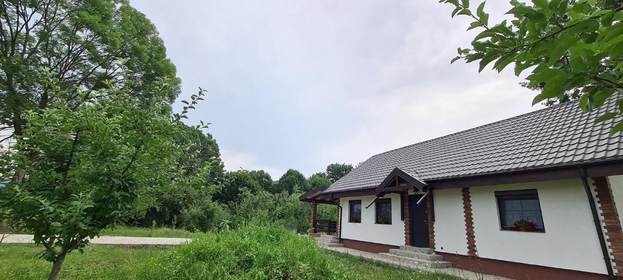 Casuta Cu Bine Villa Valea Lunga-Ogrea Exteriör bild