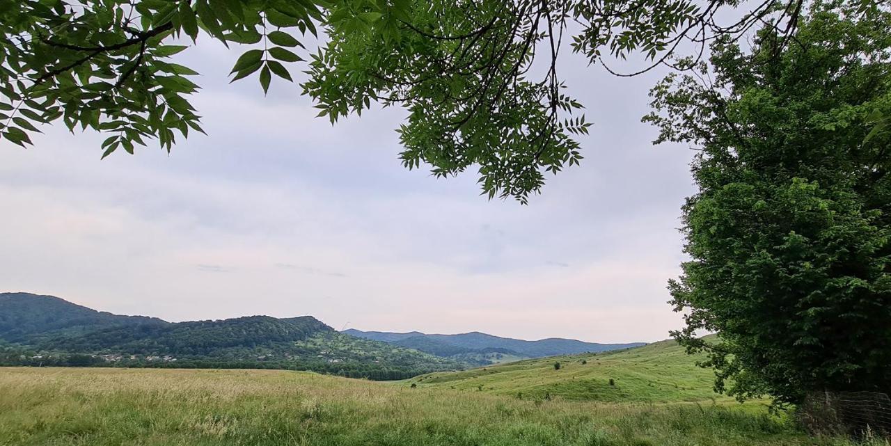 Casuta Cu Bine Villa Valea Lunga-Ogrea Exteriör bild