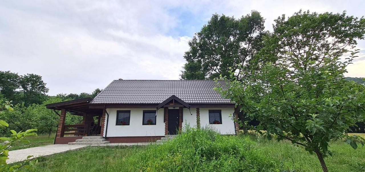 Casuta Cu Bine Villa Valea Lunga-Ogrea Exteriör bild