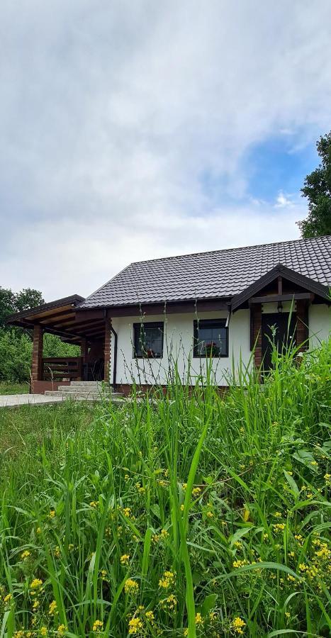 Casuta Cu Bine Villa Valea Lunga-Ogrea Exteriör bild